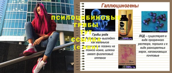 герыч Володарск