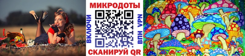 Галлюциногенные грибы мицелий  Весьегонск 